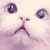 :iconluckymelon: