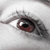 :iconlucyofchaos: