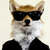 :iconluduie: