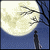 :iconludyvine: