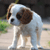 :iconlue-cinq: