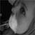 :iconluellahh: