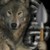 :iconlughnara: