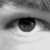:iconlui-ser: