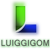 :iconluiggigom: