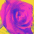 :iconluiniloveslife:
