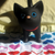 :iconluisalilith444: