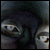 :iconluiscds: