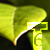 :iconluk54321: