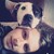 :iconlukas-marcel: