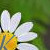 :iconluke-krause: