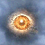 :iconluke-norton: