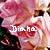 :iconlulahflower: