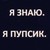 :iconlulasyc: