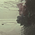 :iconlulitta: