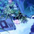 :iconlulu-bell: