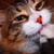 :iconlululolita2: