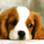 :iconluluu22332: