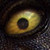 :iconlulzman21:
