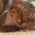 :iconlumalux: