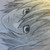 :iconlumi-nirv: