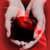 :iconlumiar: