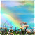 :iconlumz-piix: