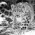 :iconluna-rocks:
