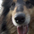 Luna2003 :iconluna2003: