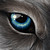 :iconluna6713: