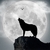 :iconlunabella800: