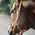 :iconlunachox3: