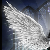 :iconlunaire-le-ange: