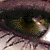 :iconlunaiscute5000: