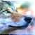 :iconlunaisdreams: