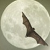 :iconlunamoon42: