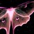:iconlunamoth89: