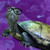 :iconlunanightsky: