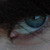 :iconlunaowl: