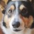 :iconlunapastel: