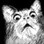 :iconlunar---kitty: