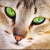 :iconlunaraqua: