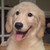 :iconlunardragon21: