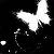 :iconlunarec1ipse: