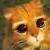 :iconLunarEclipse88: