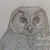 :iconlunaredfox: