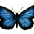 :iconlunarhedz555: