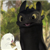 :iconlunark989: