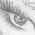 :iconlunarkitty: