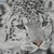 :iconlunarlioness1323: